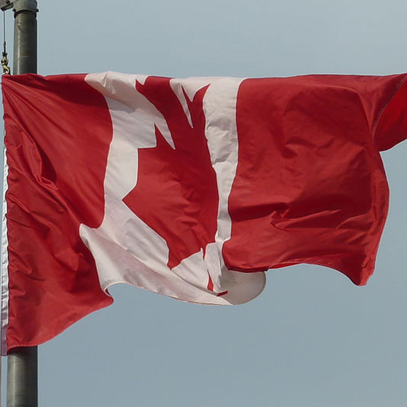 加拿大自雇移民为什么越来越受到“加粉”的青睐